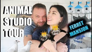 He GAVE Me An Animal Studio  Pet Room Tour Where I Keep My Colder Temperature Pets [upl. by Krissy]