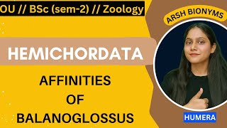 Affinities of balanoglossusZoologysem 1  Osmania University humera [upl. by Fox645]