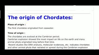 Origin of Chordates [upl. by Einej]