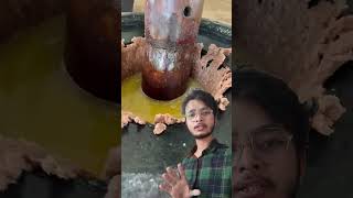 groundnut oil making full process with traditional method shorts [upl. by Elrod]