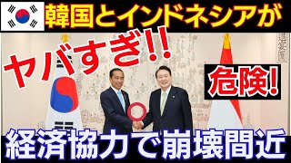 3b47lx84wq【海外の反応】韓国とインドネシアがまさかの経済協力開始！通貨の国境をなくす！？ウォンとルピア、嫌な未来しか見えてこないのはなぜ？ [upl. by Fine]