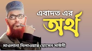 Ebadoter Ortho  delawar Hosen saidi bangla jalsa  miladwazPART 1 [upl. by Ploch]