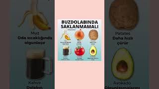 Buzdolabına Asla Koymamanız Gereken GıdalarGıdaSaklama MutfakTüyoları SağlıklıBeslenme Buzdolabı [upl. by Nosloc463]