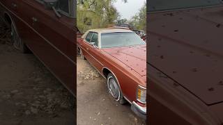 Survivor Barn Find 1973 Ford LTD barnfind ford survivor classiccars [upl. by Byler201]