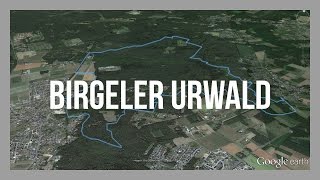 Premiumwanderweg Birgeler Urwald  Wasser Wander Welt  MaasSchwalmNette GPSTrac [upl. by Ahsal]