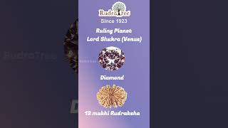 Agneeswarar Shukra Temple  Kanjanur  Lord Shukra  RudraTree Rudraksha and Gemstones [upl. by Obara]