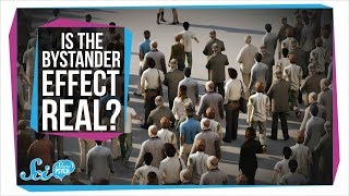 Is the Bystander Effect Real [upl. by Esinrahc413]