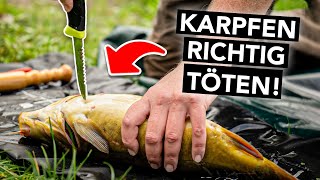 Karpfen waidgerecht betäuben und töten empfohlene Methode [upl. by Edik890]