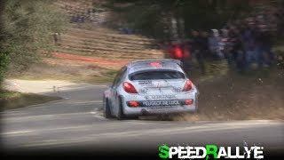 Rallye Vaison la Romaine 2014 HD by SpeedRallye Show and Mistake [upl. by Egide586]