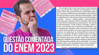 QUESTÃO ENEM 2023  Cadê o efeito desconcertante desse gato preto [upl. by Va340]