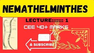 Phylum Nemathelmintheslecture 1 by best teacher and best notes [upl. by Acey704]