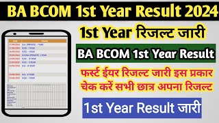 BA first year result kaise Dekhe  BA ka result kaise Dekhe  CCSU BA first year private result 2024 [upl. by Nitnerb]