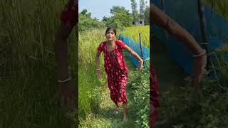 Mera khet ka sab dhan kha Gayafunnyvideo comedy shortvideo 😝😁😝😁😀😘 [upl. by Neras]