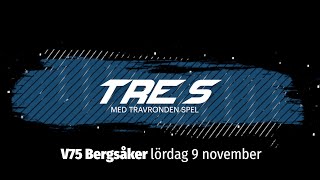 Speltips V75 Bergsåker 9 november [upl. by Etnoval]