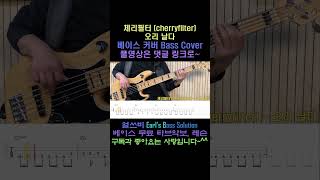 체리필터 cherryfilter  오리 날다 베이스커버 무료타브악보 베이스레슨 shorts [upl. by Nwonknu355]