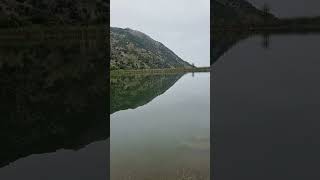 Laghetto naturale mood show salvocinquegrani shorts lago nature natural sicilia italy [upl. by Magnolia]