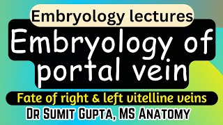 Embryology of Portal vein  Derivatives of Vitelline vein [upl. by Ycniuqal962]