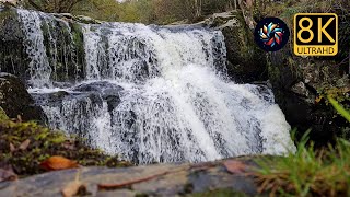 8K Serenity Waterfall Near High Cascades Bridge at Aira Force and Gowbarrow Park Ullswater [upl. by Alleen]