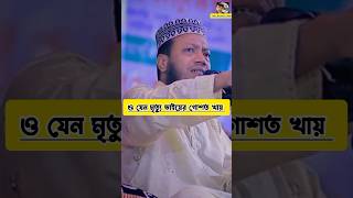 ও যেন মৃত্যু ভাইয়ের গোশত খায় muftiamirhamza shorts shortwaz shortvideo youtubeshorts mahfil [upl. by Aniger458]