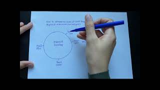 How to determine DNA fragment sizes from plasmid digested with restriction enzymes [upl. by Amrita]