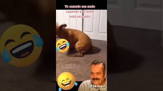 El perro que se anda cagando [upl. by Kenny]