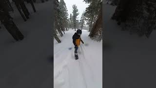 Groomers into the Trees RAW snowboardadventure snowboarding snow snowboarder wintersport [upl. by Hsirap]