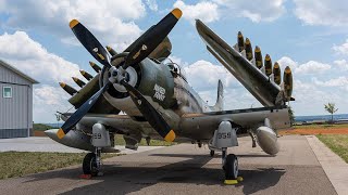 Big Old DOUGLAS SKYRAIDER AIRPLANE ENGINES Cold Startup [upl. by Dylan228]