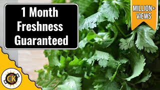 Cilantro Saving Tip How to keep Coriander Fresh for long in Fridge by Chawlas Kitchen [upl. by Outlaw]