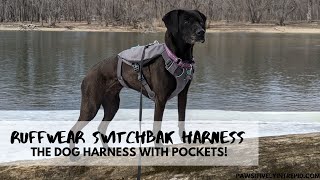 Switchbak Harness Review [upl. by Orapma]