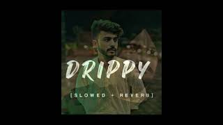 Drippy Sidhu moose wala slowed and rewerb song [upl. by Mariandi]