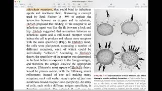 Zoology MSc Sem3 CC10 ImmunologyClonal Selection Theory p1 [upl. by Dronski]