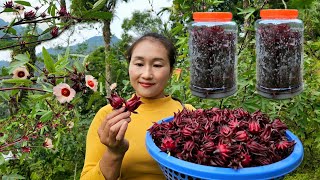 Harvesting artichokes for sale at the market  Preserving artichokes year round  Ly Thi Tam [upl. by Orferd]