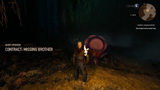 The Witcher 3 Missing brother contract [upl. by Cita342]