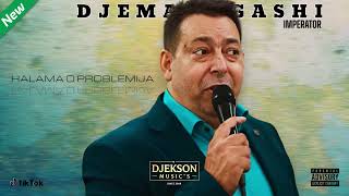 ✩DJEMAIL GASHI 20242025✩ New E❌CLUSIVE 2 ✸Halama O Problemija✸ djeksonmusics djemail [upl. by Johns]