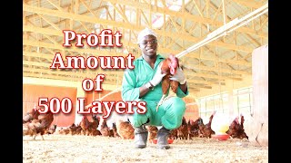 Profit Amount for 500 layers [upl. by Suilienroc]