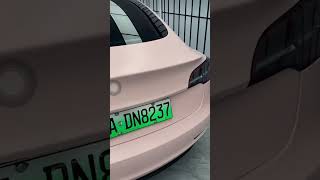 CAXVINYL Factory Direct HD PET Liner Flat Matte Seashell Pink Car Wrap [upl. by Assirram]