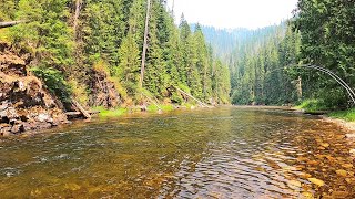 WHY do LOCALS say this is quotThe BEST FLY FISHINGquot stream in IdahoIll show you part 31 [upl. by Laurinda742]