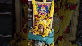 సత్యనారాయణ పూజ at రాజరాజేశ్వరి ఆలయం devasandra banglore ammavarudevotional sathyanarayanapooja [upl. by Cirdek656]