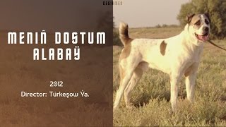 Meniň Dostum Alabaý Türkmen dokumental filmi  2012 [upl. by Yarased228]