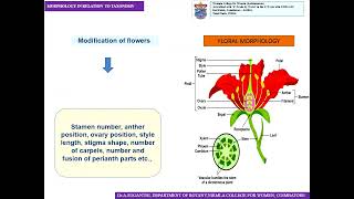 Morphology in relation to Taxonomy  DrA Suganthi  BOTANY [upl. by Eiclud547]