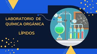 Práctica de laboratorio Lipidos [upl. by Thun]