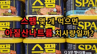 스팸은 몇개를 먹으면 치사량일까 아질산나트륨이 뭘까 [upl. by Gahl]