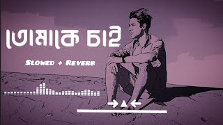 Tomake chai lofi remix  তোমাকে চাই SlowedReverb Arijit Singh  lyrical song [upl. by Rica]