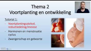 Meiose  Biodam thema 2 voortplanting deel 13 [upl. by Hoashis481]