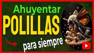 🔴 Productos naturales infalibles para ELIMINAR las POLILLAS de la MADERA [upl. by Aneleh]