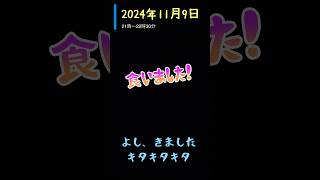 DAISOのジグサビキと臭いイカを使った太刀魚釣り 秋田港 太刀魚 [upl. by Collimore534]