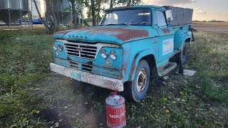 I BOUGHT A 1962 DODGE FARGO D300 PROJECT [upl. by Calida]