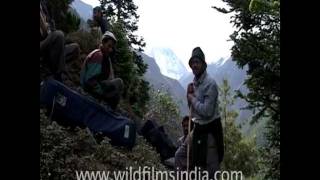 Trek to Nanda Devi inner sanctuary [upl. by Eninej]