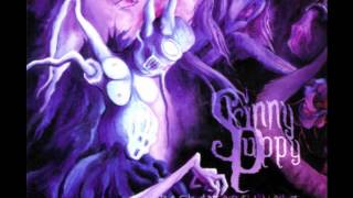 Skinny Puppy  Cauldron Of Sorrow [upl. by Hosea]