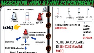 messelson and stahl experiment [upl. by Snowman]